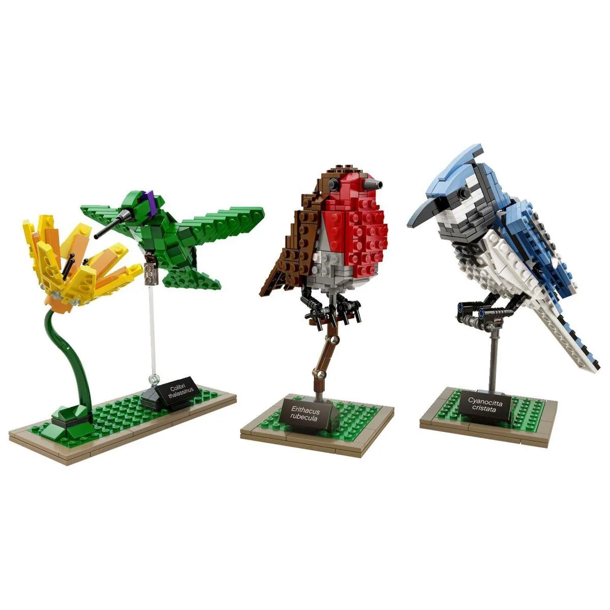 LEGO Ideas Vogels 21301 - 580 Stukken - Meerkleurig