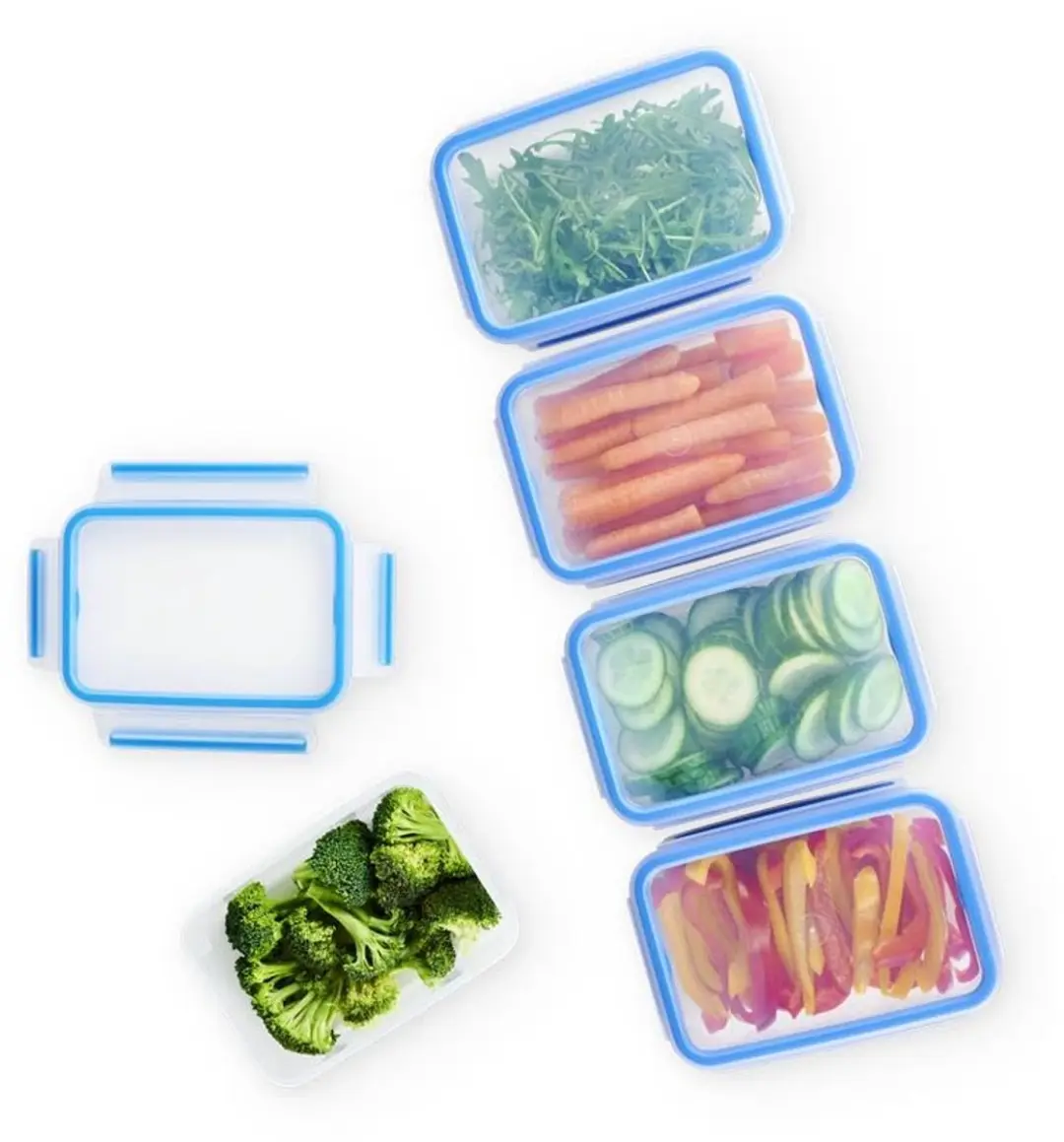 Tefal MasterSeal Fresh N1030710 Mealprep Set - 20 Stuks (5x4) - Blauw/Transparant