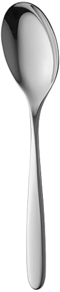 Sola Saladelepel Twist
