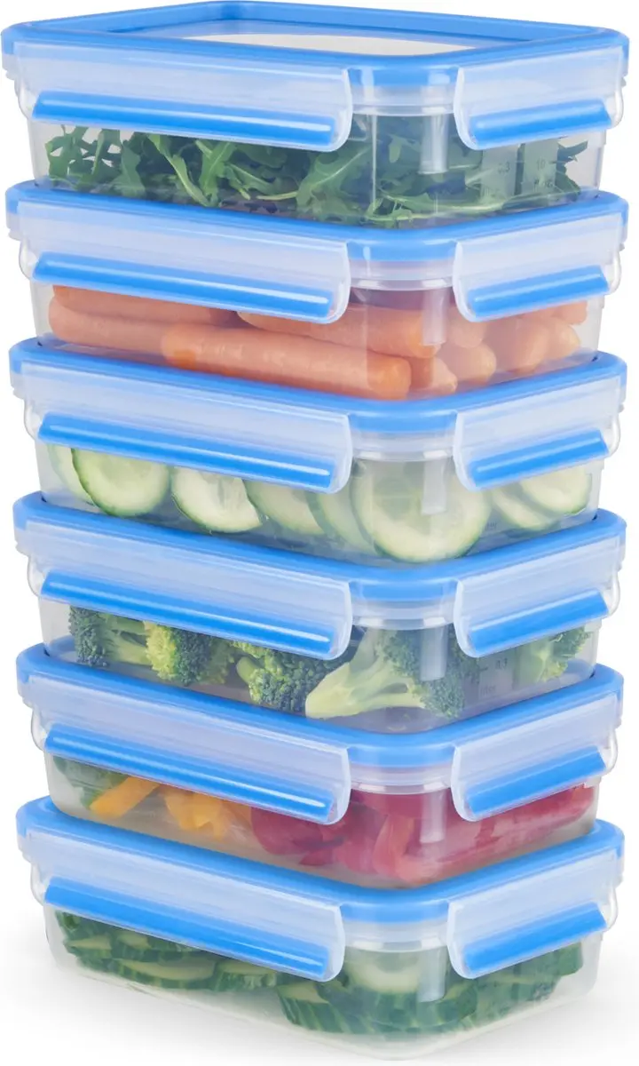 Tefal MasterSeal Fresh N1031951 Mealprepbox