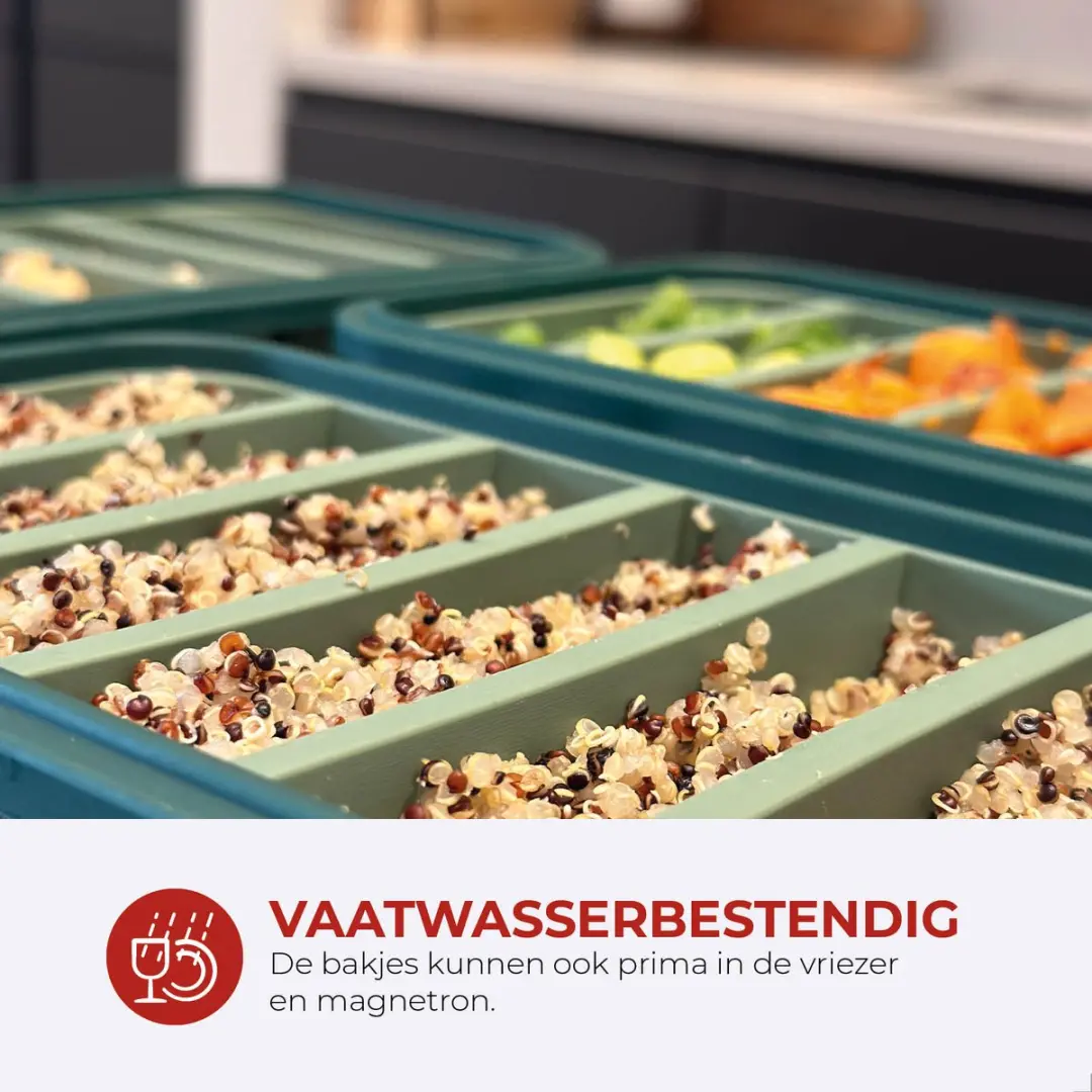 Bourgini Frosti Bits Meal Prep Bakjes - 2 Stuks 4/6 Vakjes