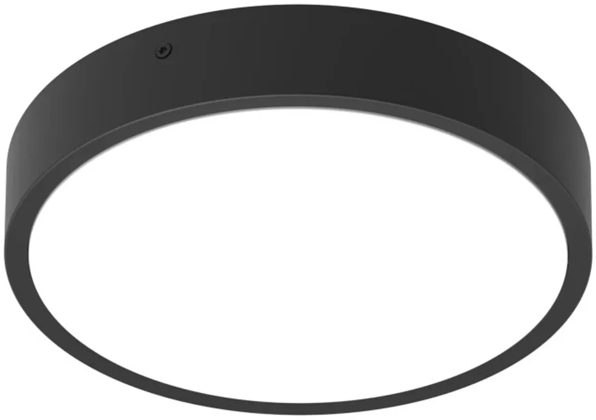 Ledvance LED Bulkhead Surface 300 Zwart