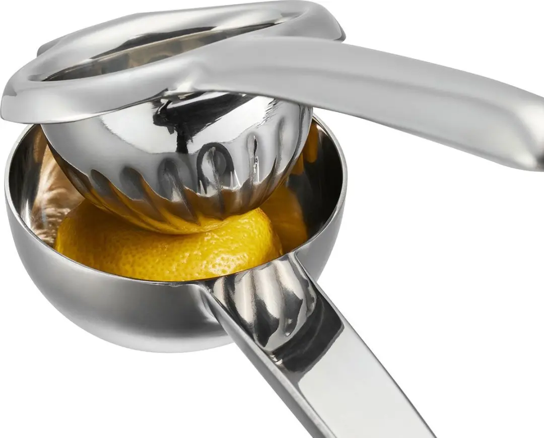 GEFU Citruspers LEMON 13972 - RVS