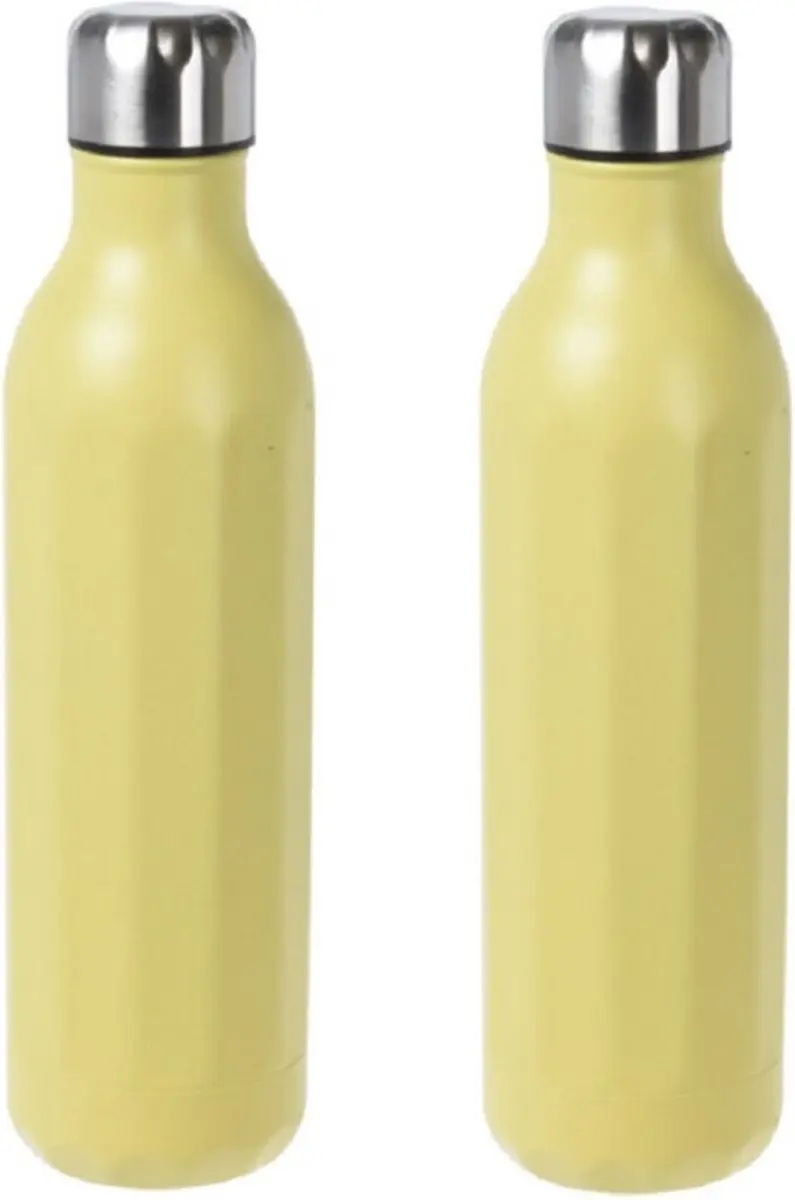 Excellent Houseware Isoleerflessen 500ml