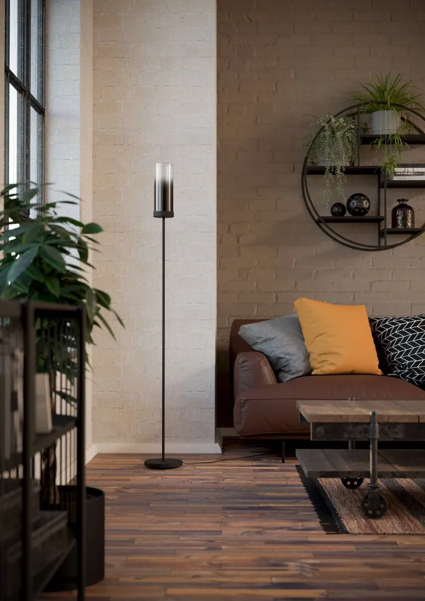 Eglo Toothill Vloerlamp 153,5cm - Zwart