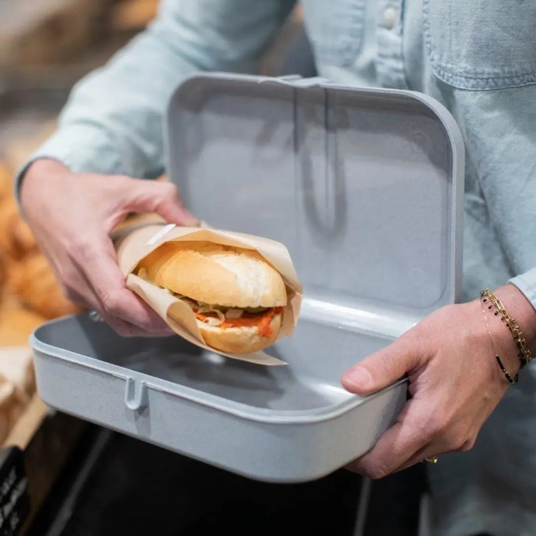 Koziol Lunchbox met Verdeler Organic Koraal 2.4L