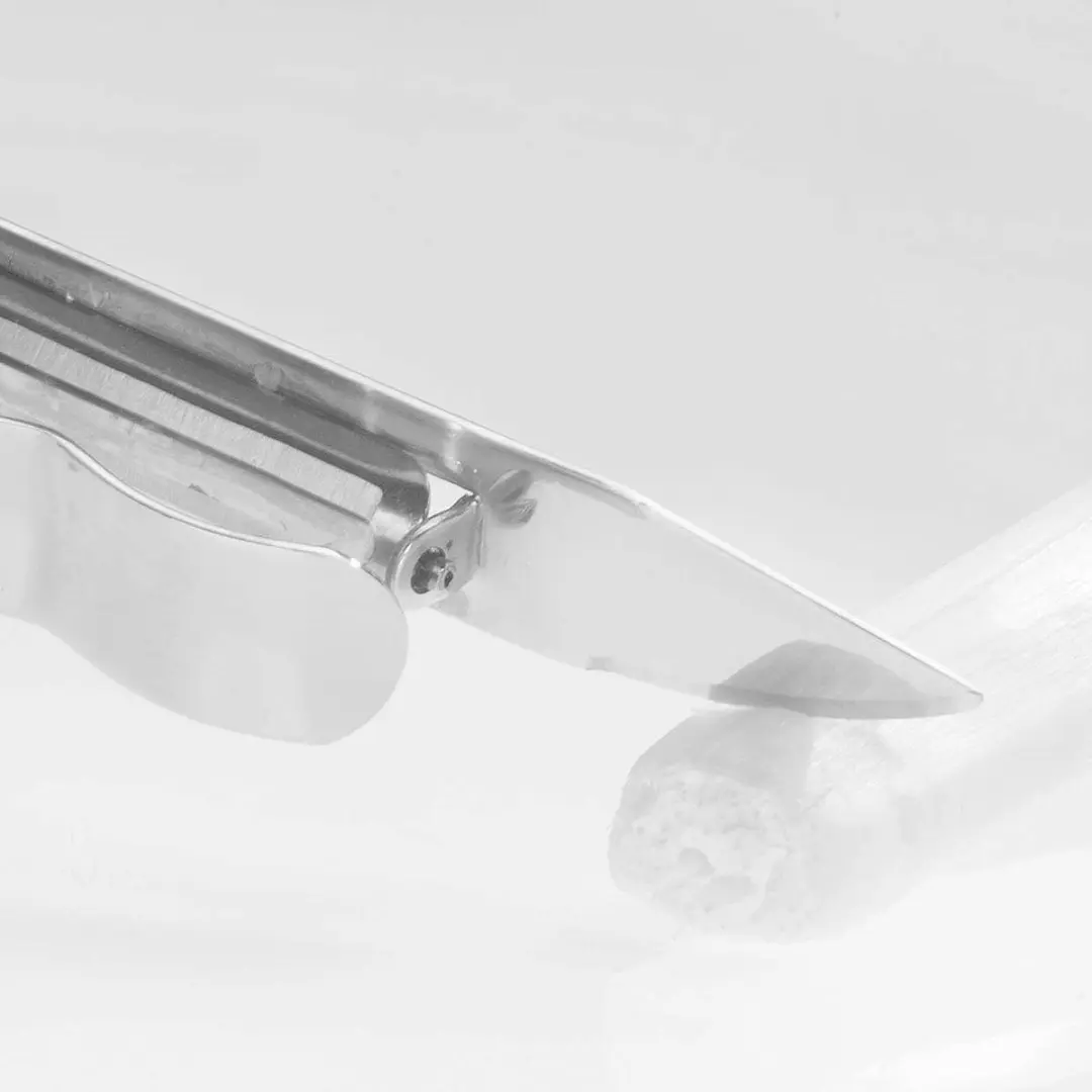 Westmark Peel-Master Aspergeschiller RVS