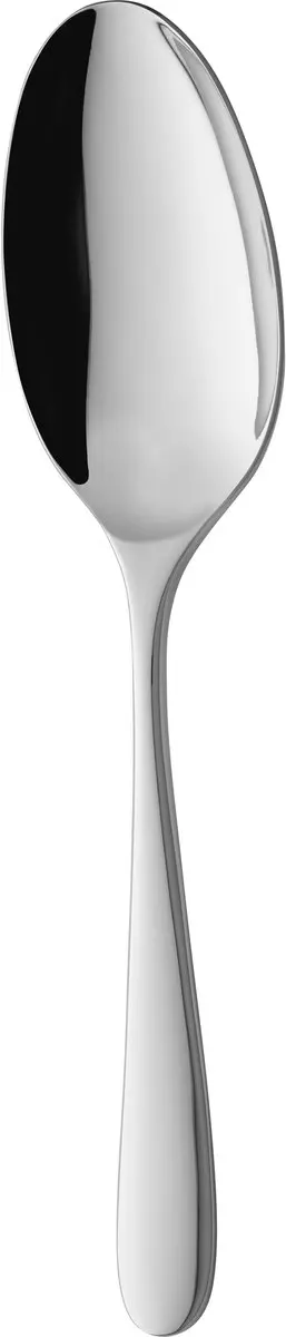 Sola Nordica Serveerlepel 11NORD 205