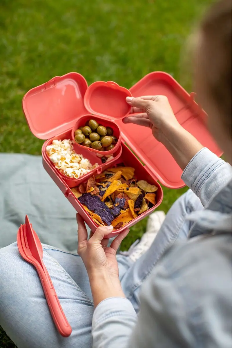 Koziol Organic Lunchboxset Natuur Koraal - 2.4L - 4 Stuks