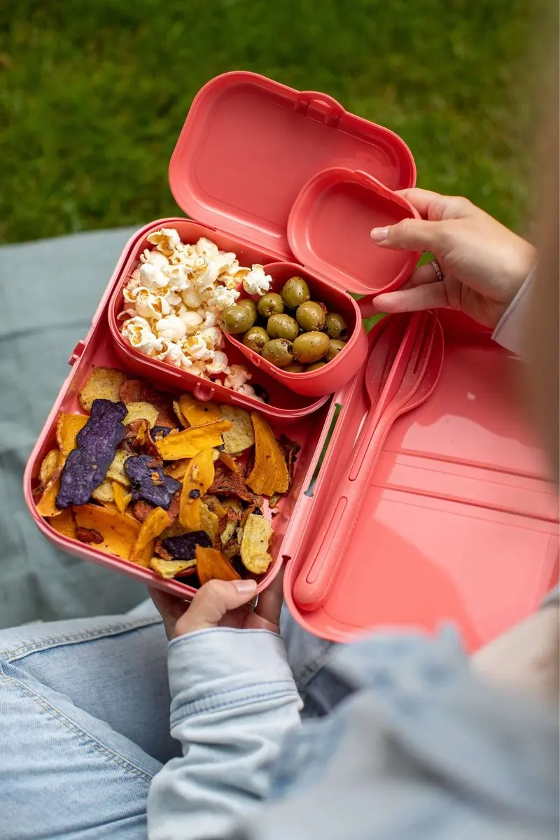 Koziol Organic Lunchboxset Natuur Koraal - 2.4L - 4 Stuks