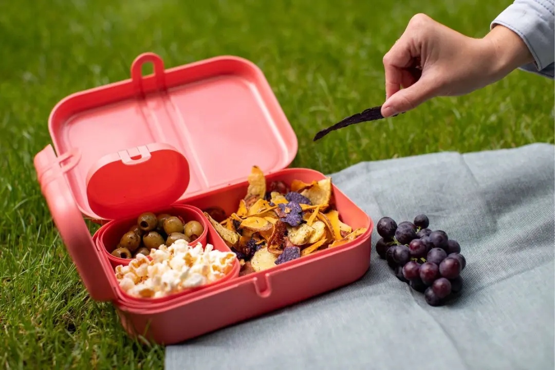 Koziol Organic Lunchboxset Natuur Koraal - 2.4L - 4 Stuks