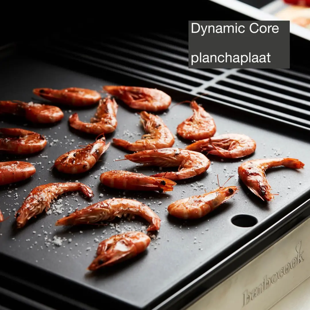Barbecook Stella 4311 Gas BBQ 5 Branders - Infrarood Zijbrander - Plancha