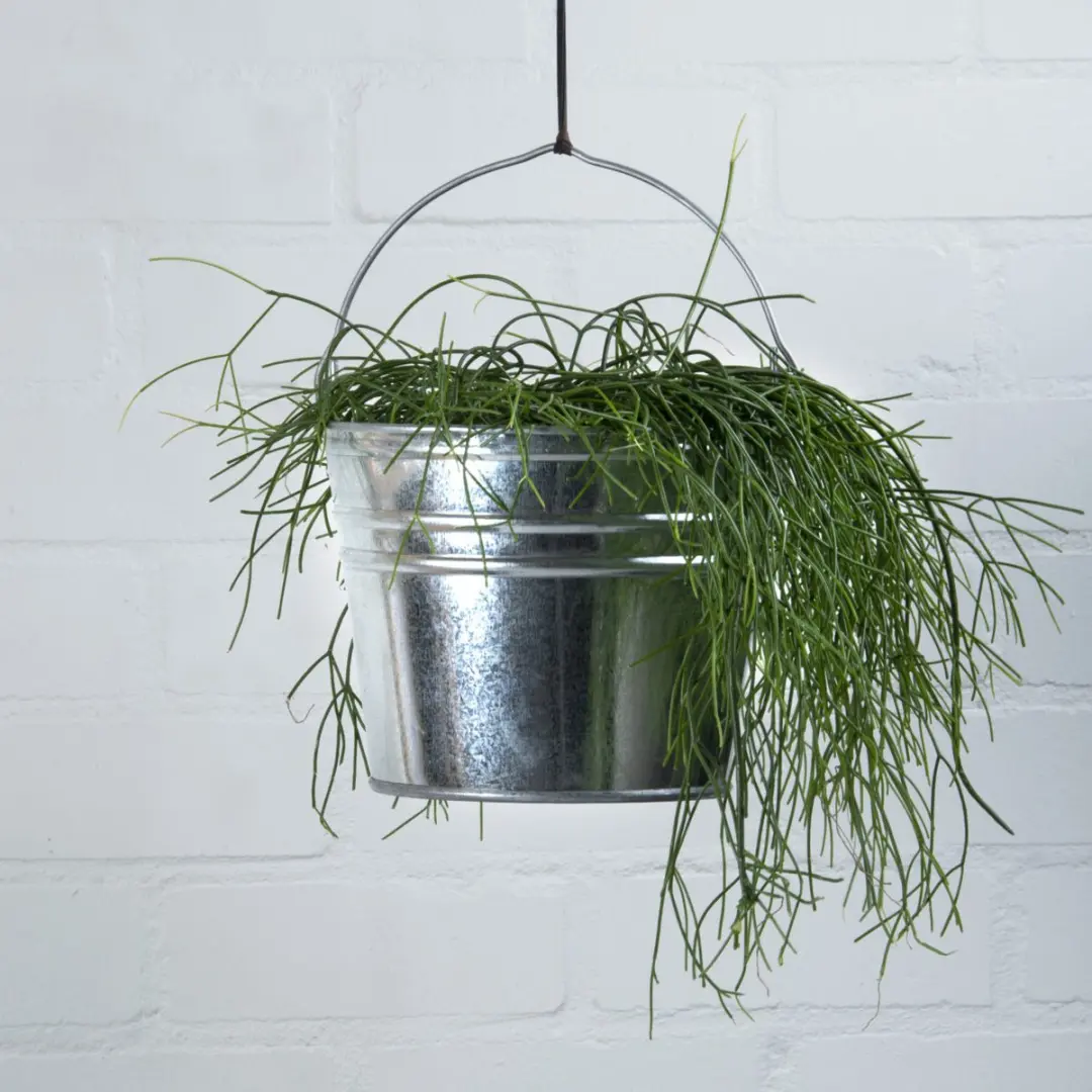 Esschert Design Emmer/Plantpot FF50 - Zilver - Ø34xH29cm