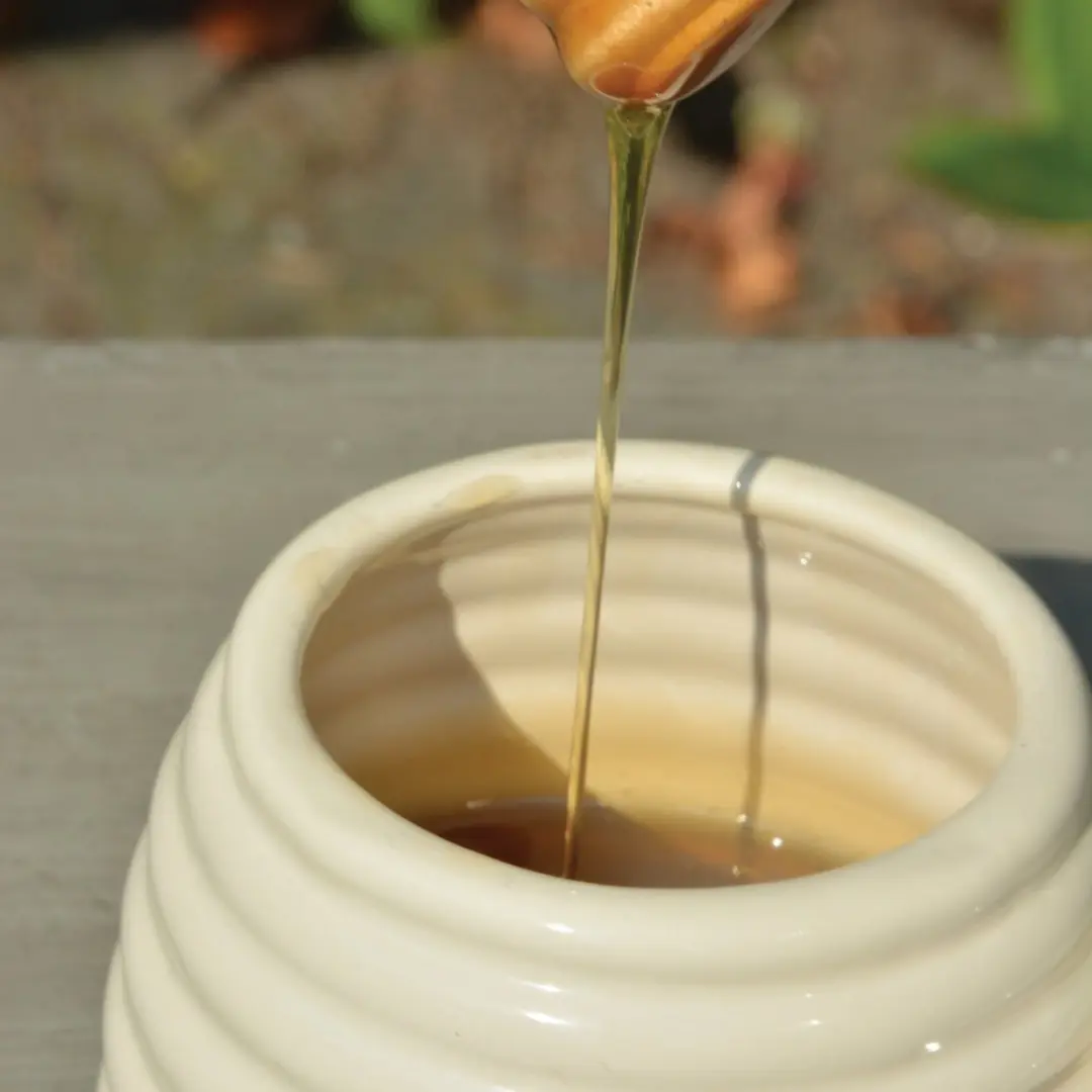 Esschert Design Honingpot TA-9807 - 400ml - Wit