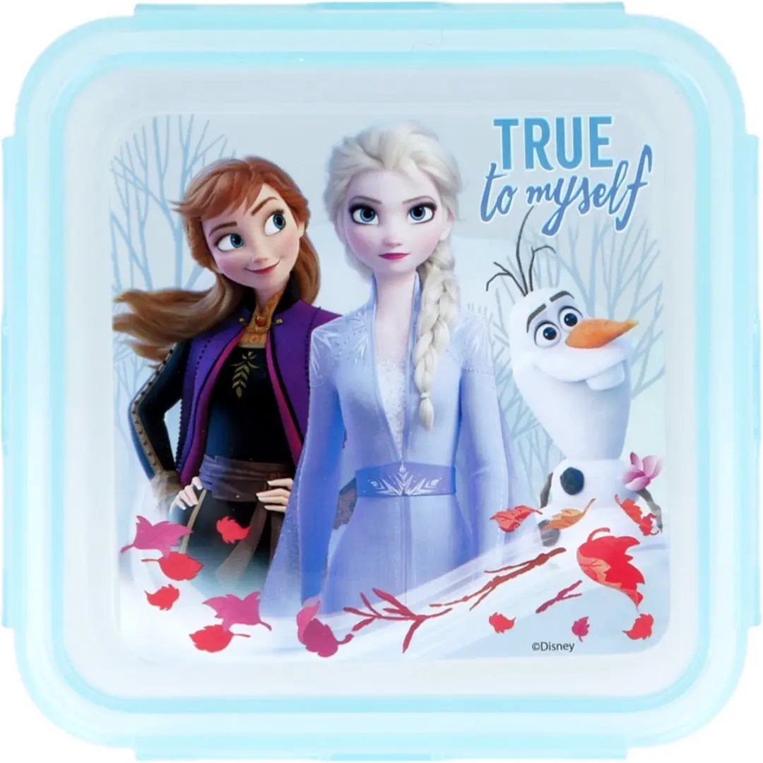 Disney Frozen Vierkant Bakje 500ml