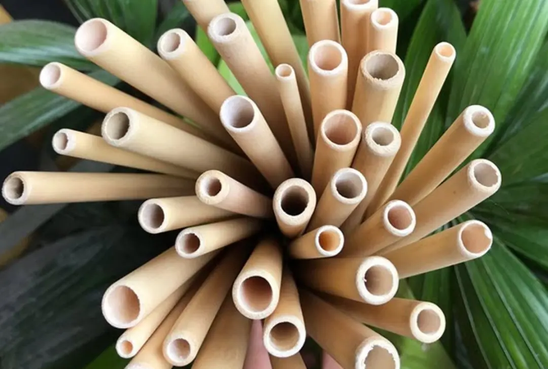Dörr Bamboe Rietjes 10 Stuks - Bruin