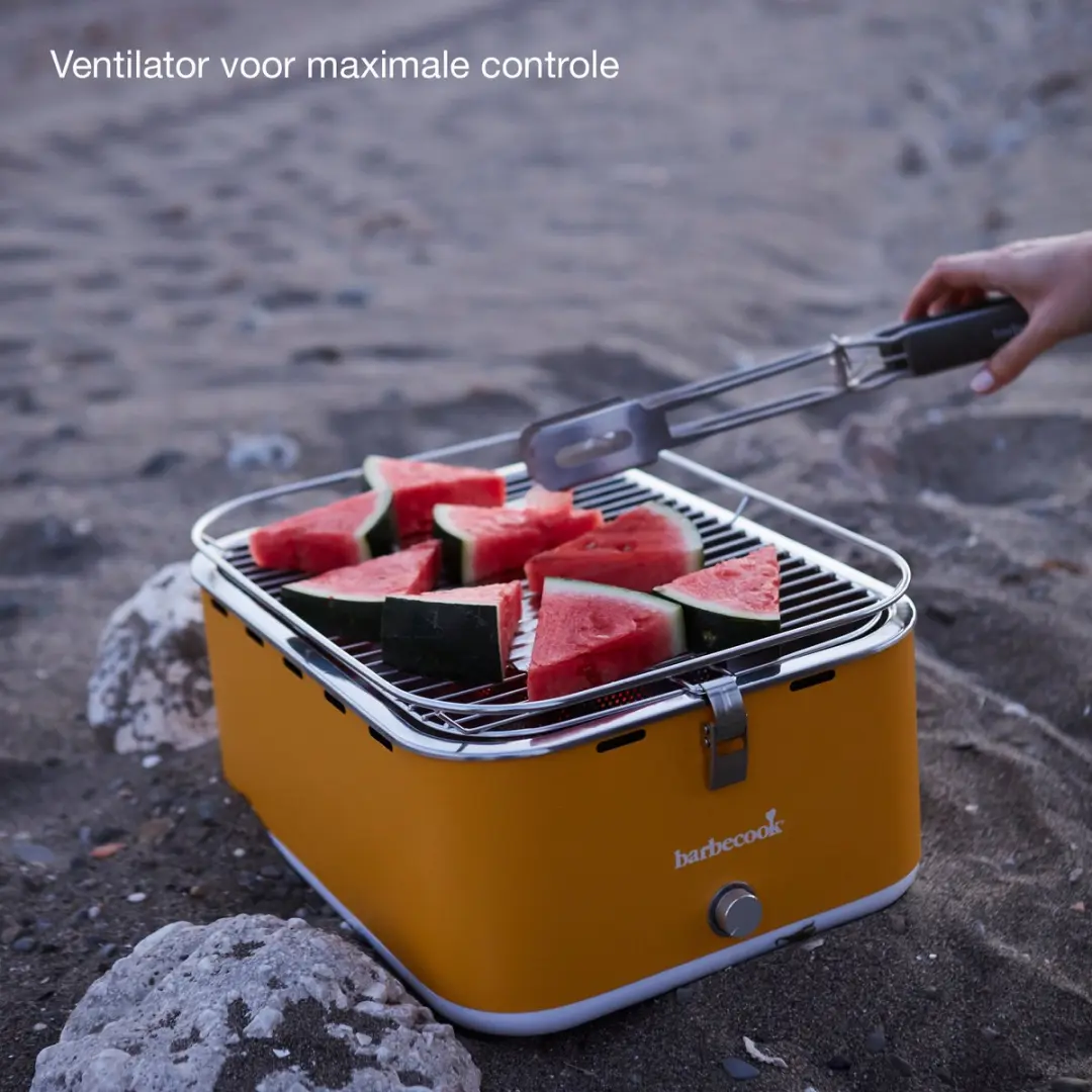 Barbecook Carlo Tafel BBQ Houtskool - 33cm - 6 Burgers - Geel