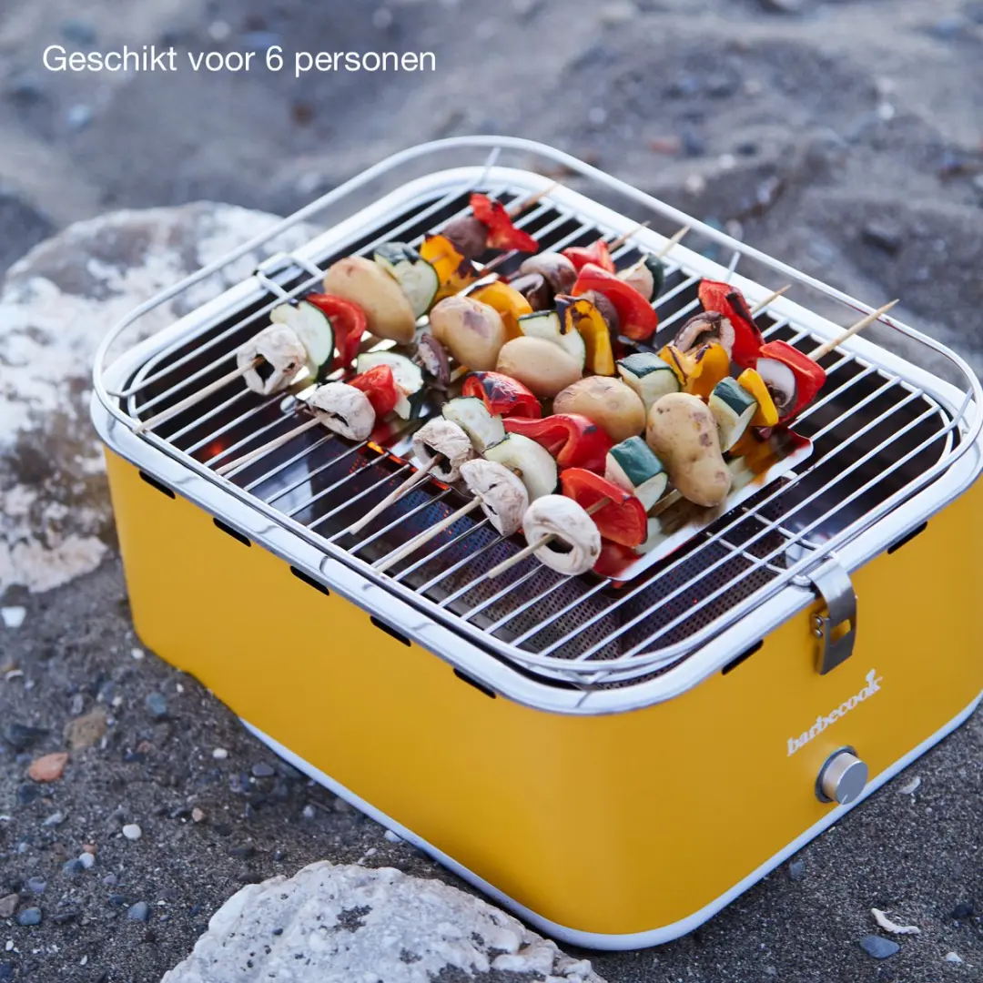 Barbecook Carlo Tafel BBQ Houtskool - 33cm - 6 Burgers - Geel