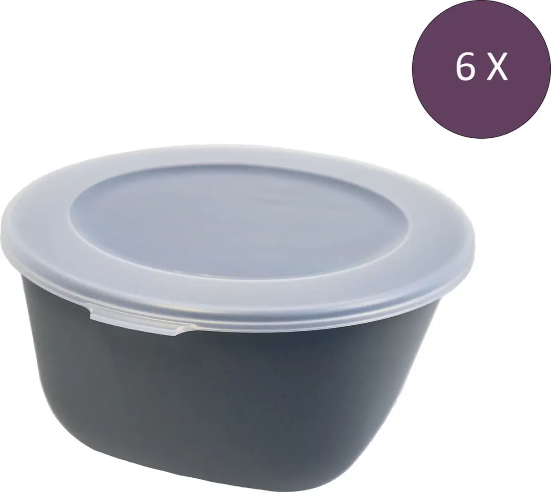 Koziol MOVE Connect Box 1 Schaal met Deksel - 1L - 6 Stuks - Zilvergrijs
