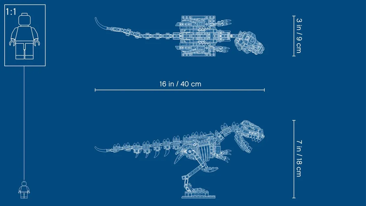 LEGO Ideas Dinosaurusfossielen 21320 - 910 Stukken - 1 Minifiguur - afbeelding 6 van 6