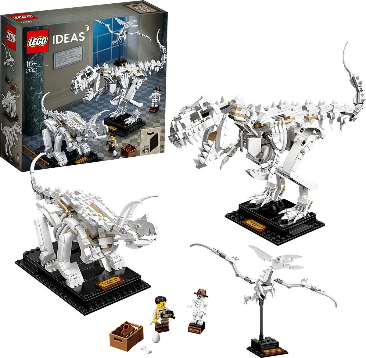 LEGO Ideas Dinosaurusfossielen 21320 - 910 Stukken - 1 Minifiguur