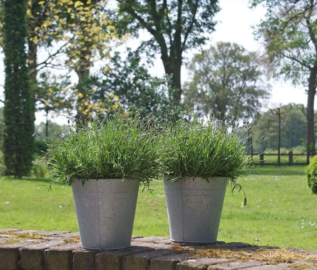 Esschert Design Oud Zink Bloempot 25cm - Grijs