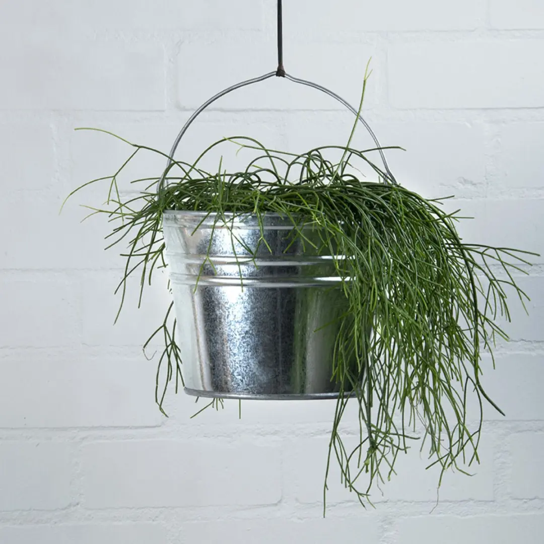 Esschert Design Emmer/Plantpot Zilver - D26 x H25cm