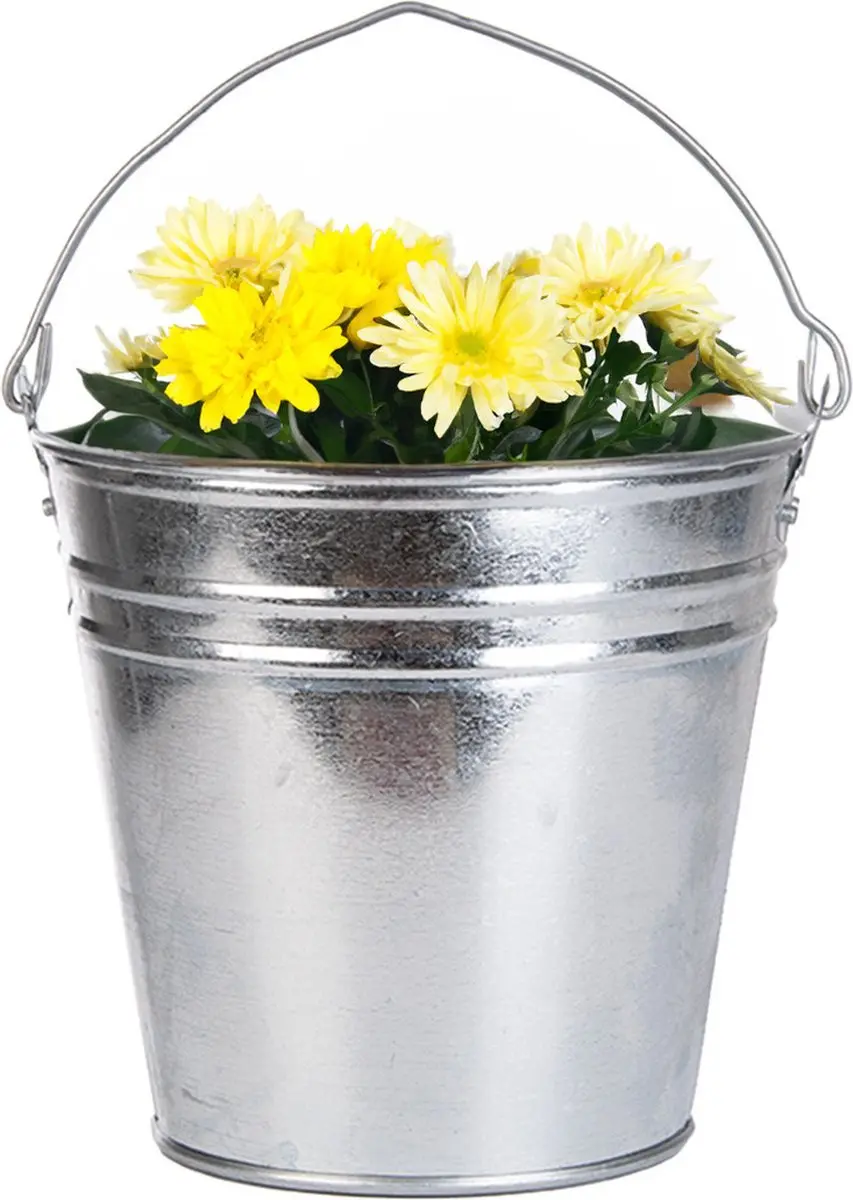 Esschert Design Emmer/Plantpot Zilver