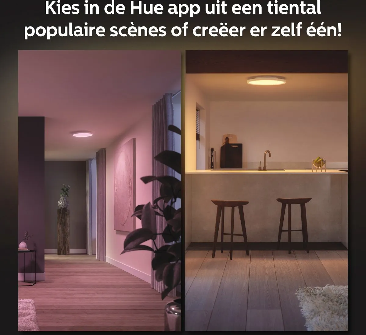 Philips Hue Surimu Paneellamp - Wit & RGB - Ø39,5cm