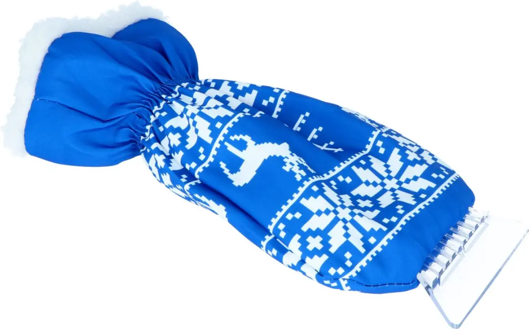 Carpoint IJskrabber Handschoen Blauw