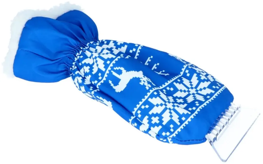 Carpoint IJskrabber Handschoen Blauw