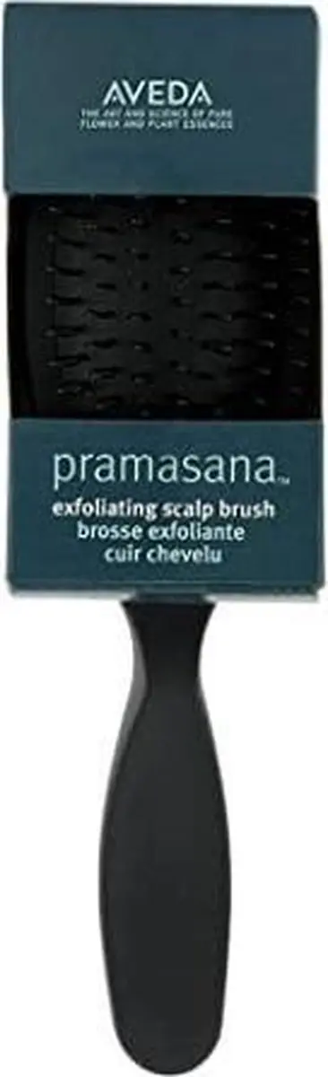 Aveda Pramasana Exfoliërende Hoofdborst