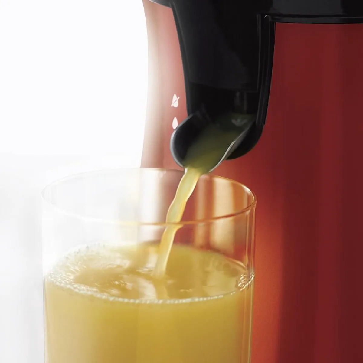 Russell Hobbs 26010-56 Citruspers - 60W - Rood/Zwart