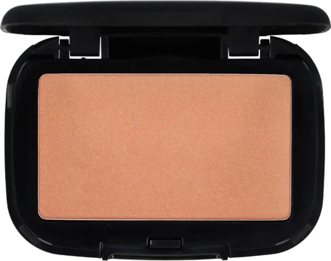 Make-up Studio Compact Earth Parelmoer P2 - 17g