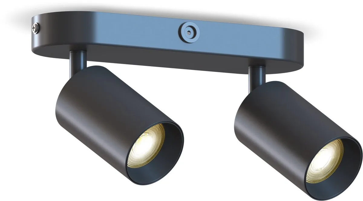 Calex Plafondlamp 2-Lichts Opbouwspot Ovaal Zwart-Goud