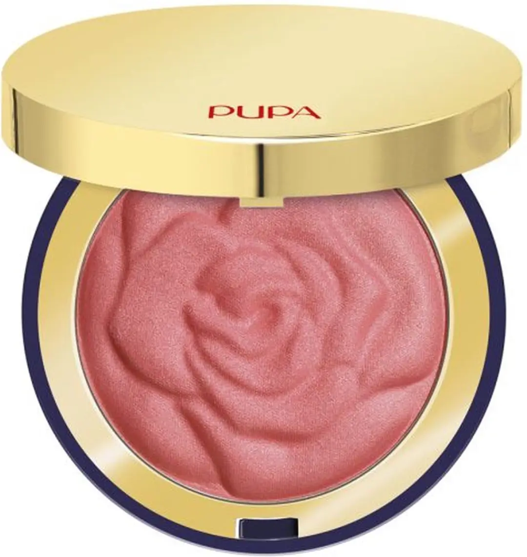 Pupa Milano Winter Blooming Highlighting Blush 01