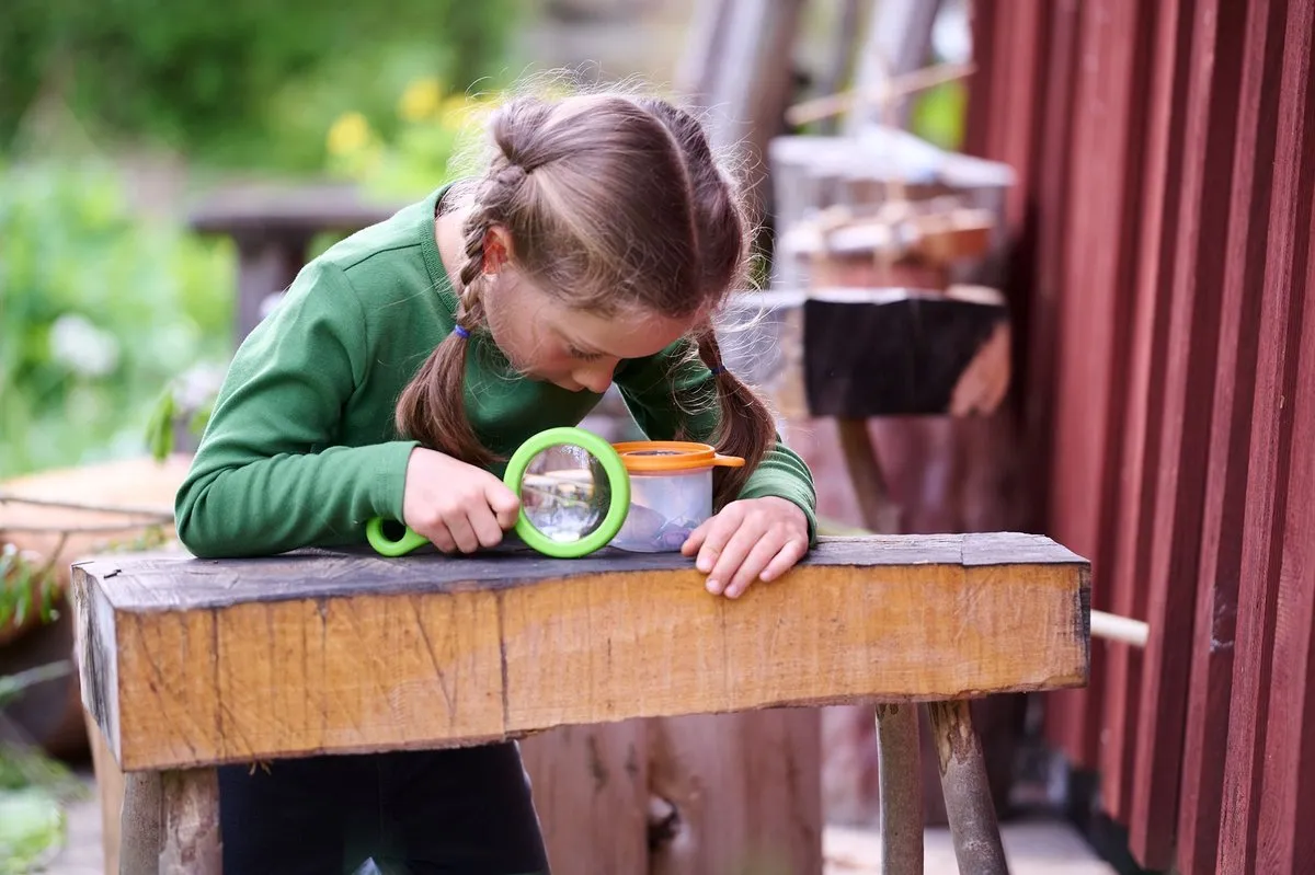 Haba Terra Kids Bekerloep 3in1 - Groen