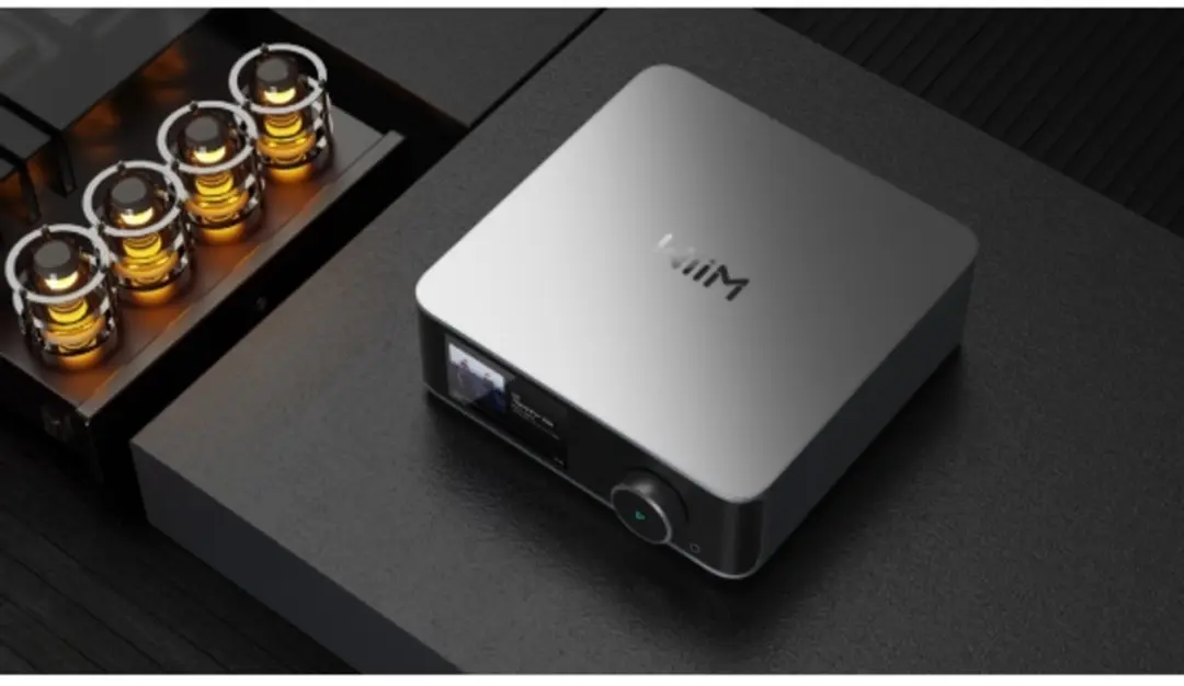 WiiM Ultra DAC Streamer 81806165 - Zilver