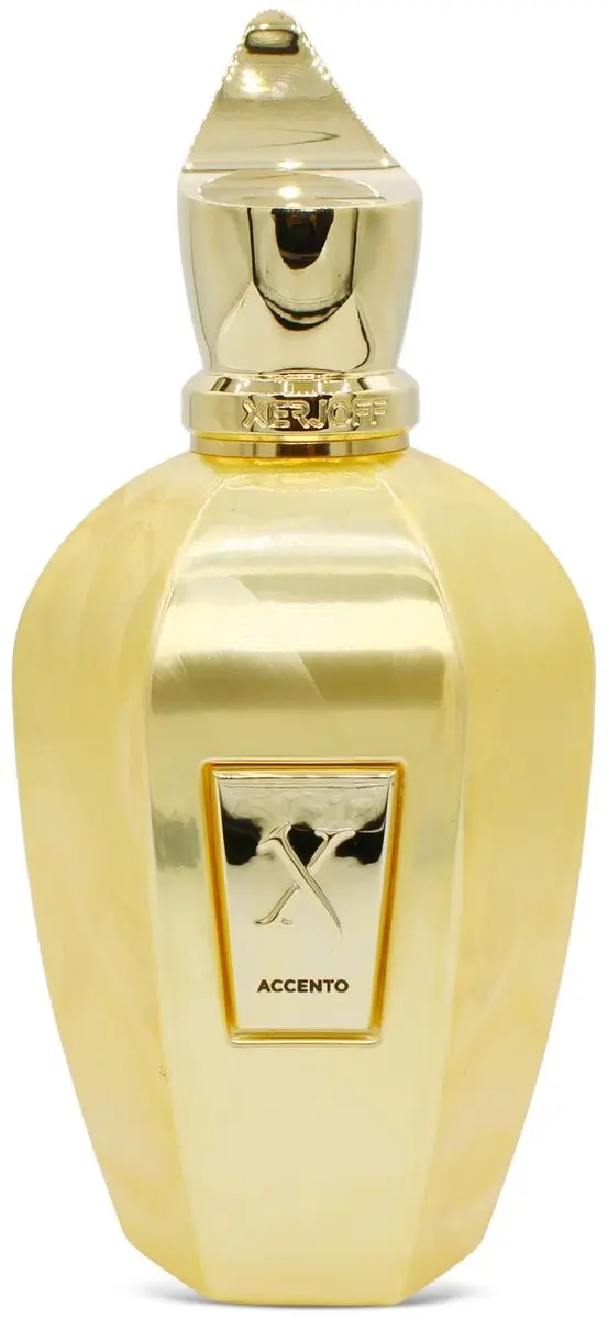 Xerjoff Accento Overdose Eau de Parfum 100ml
