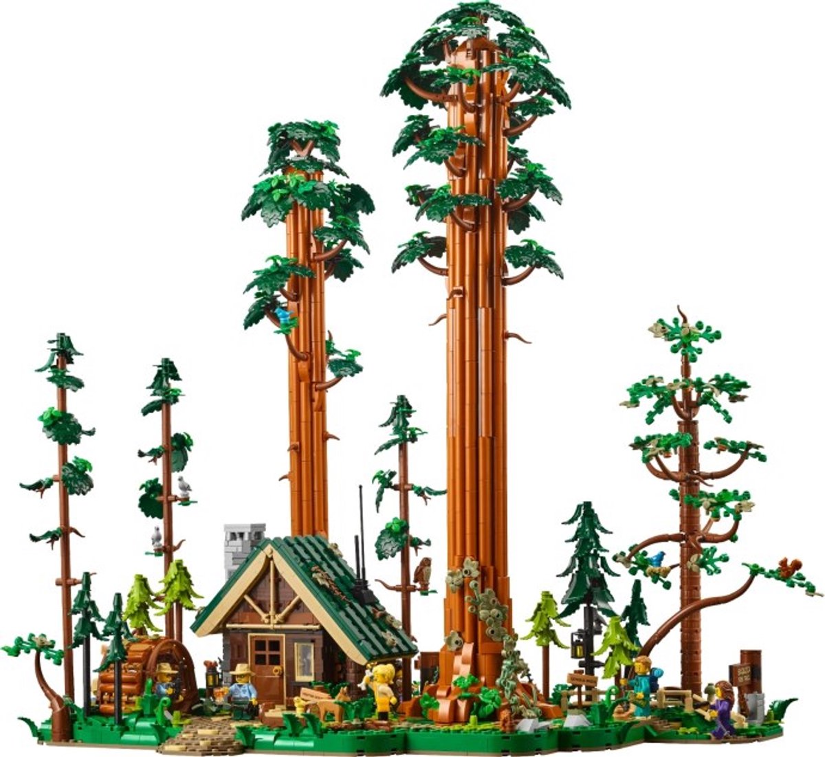 LEGO BrickLink Sequoia Tree Trail / Reuzensequoia Wandelroute - 910058