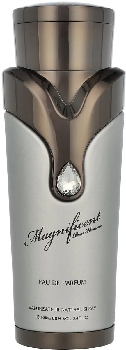 Armaf Magnificent pour Homme Eau de Parfum 100ml