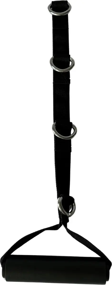 Inspire Multi-Ring D Handle