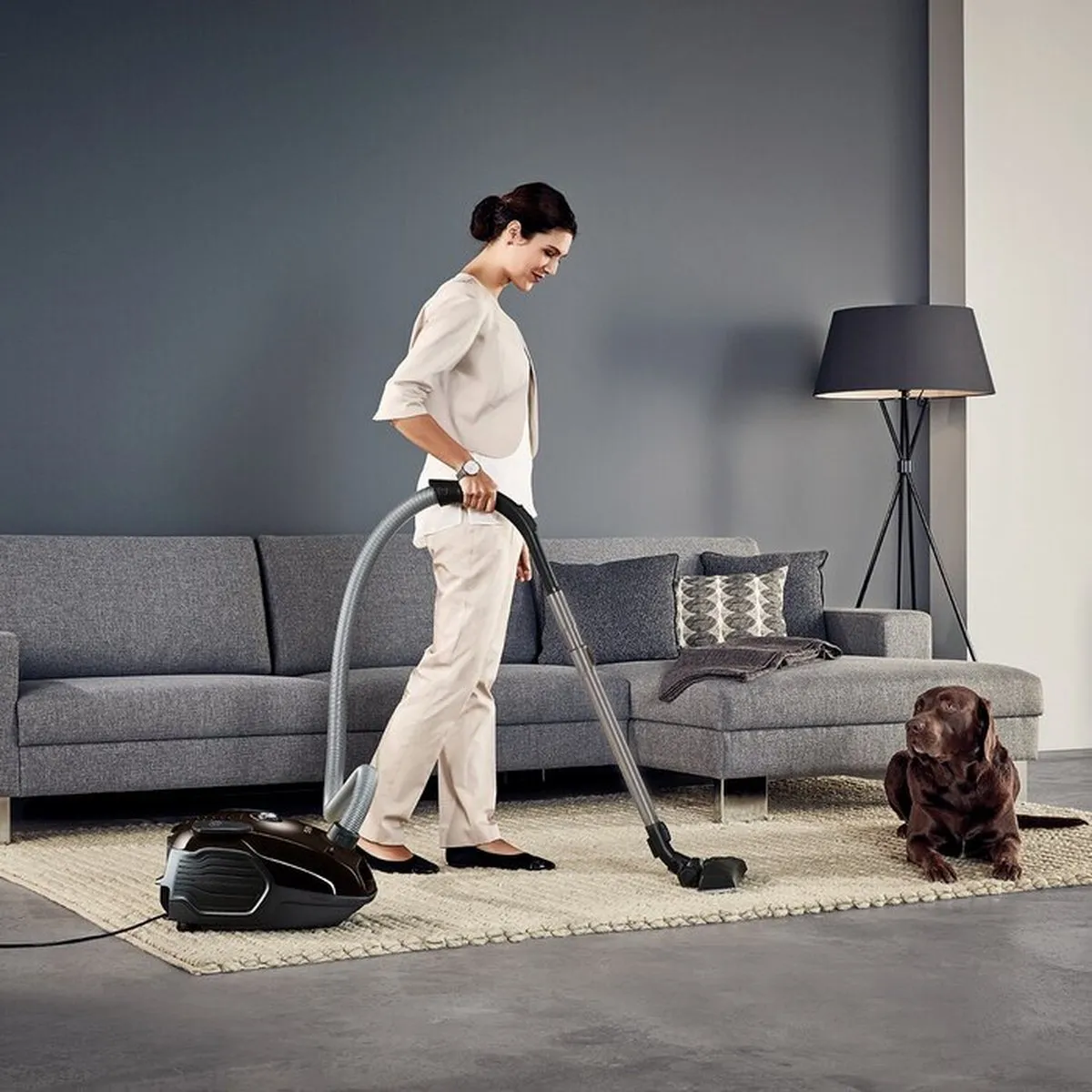 AEG VX6-2-PARK Stofzuiger met zak - 700W - Bruin/Zwart