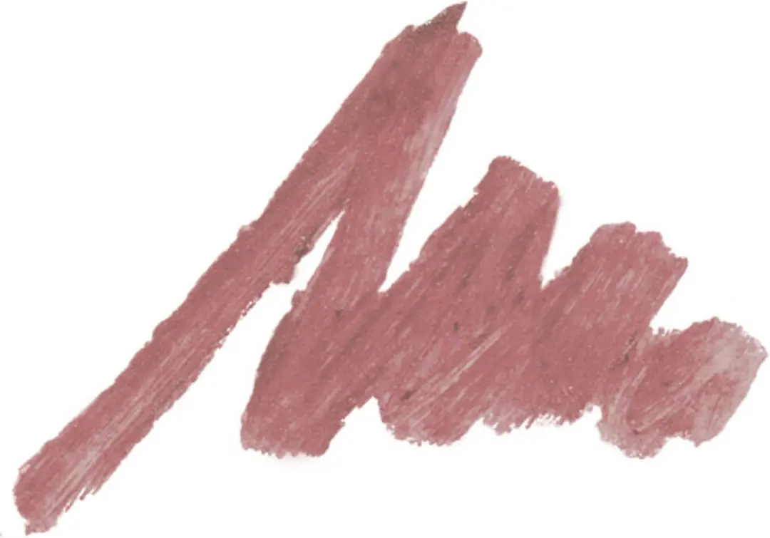 Pupa Milano True Lips Lipliner 004 Plain Brown - 0,04ml