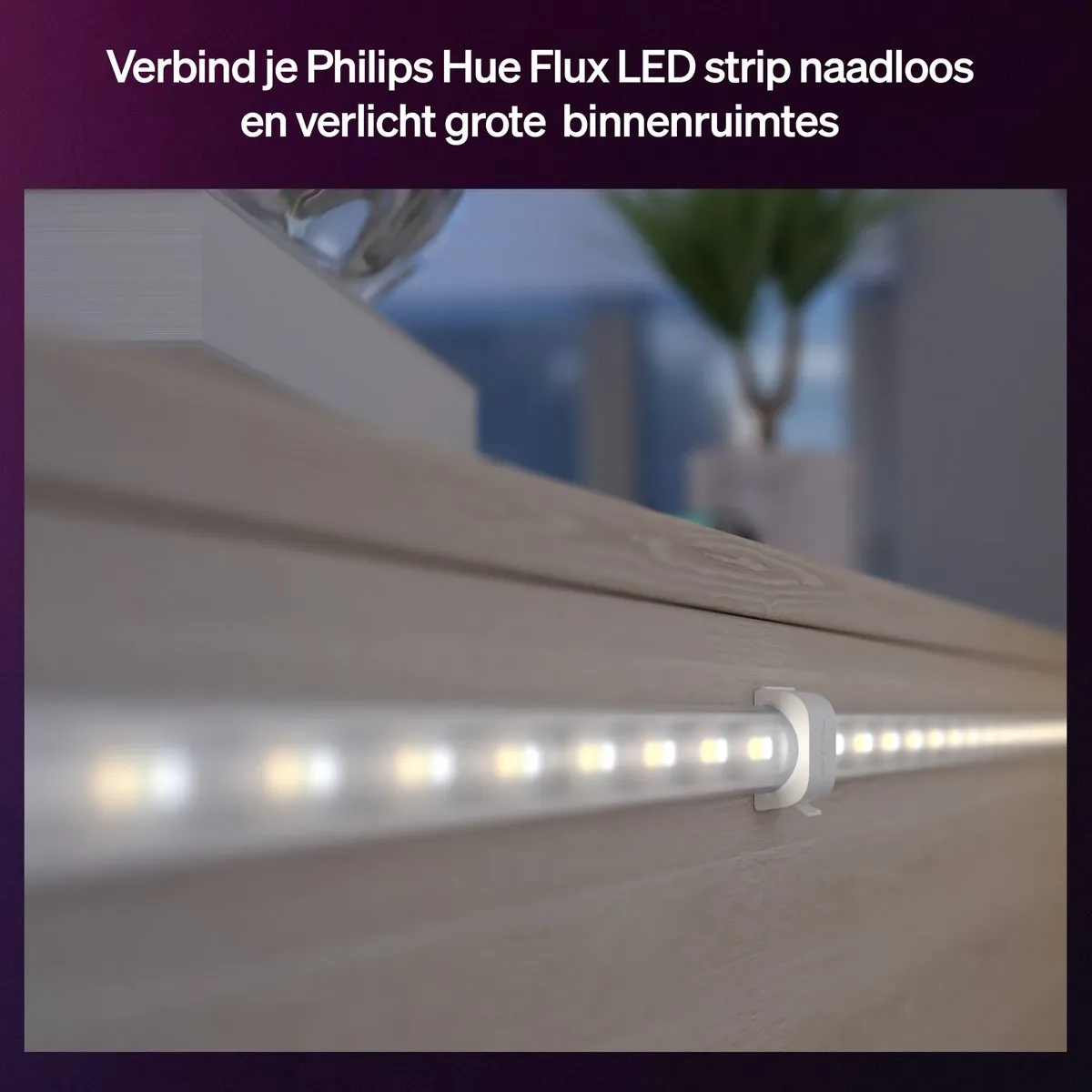 Philips Hue Flux Connector - 4 Stuks - Wit