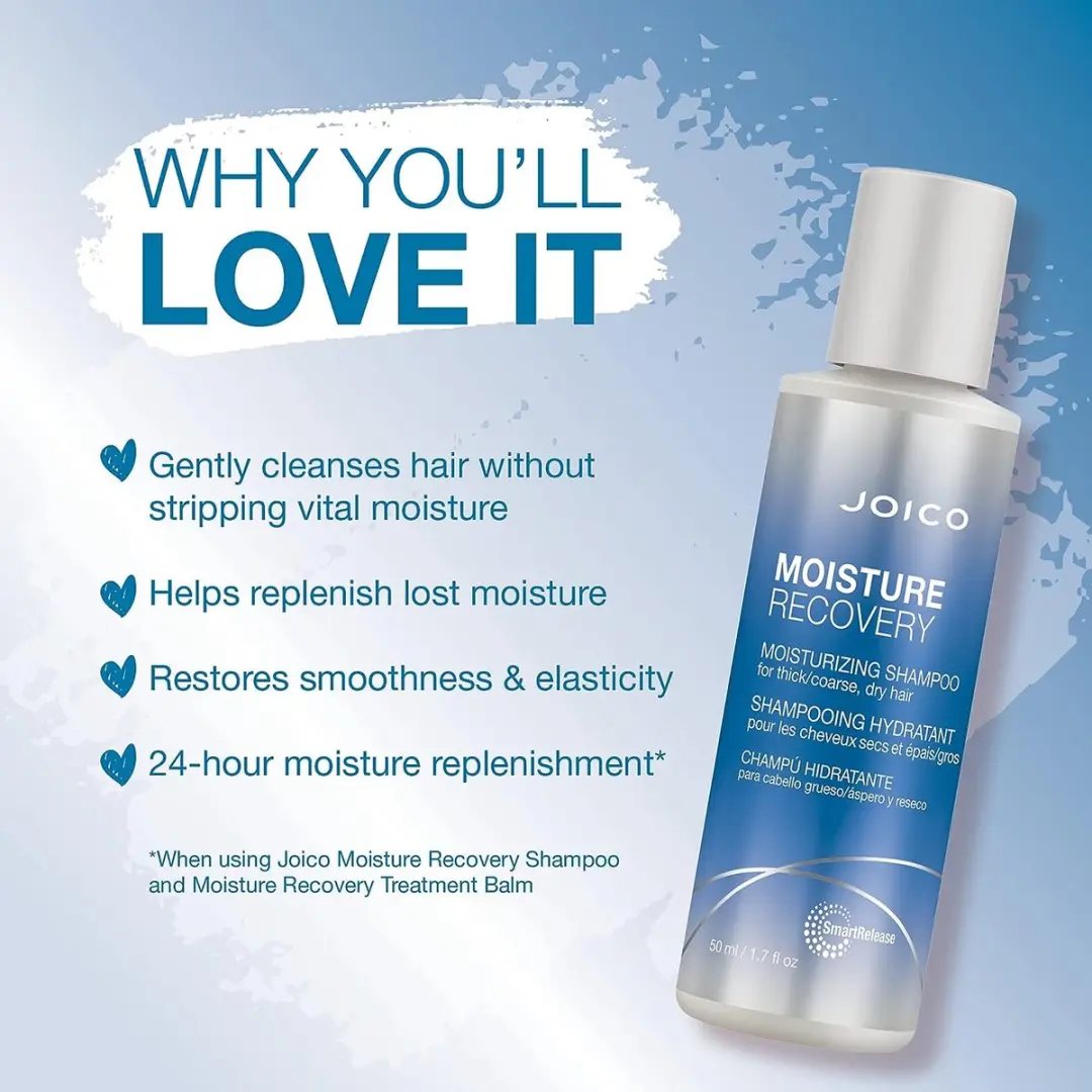 Joico Moisture Recovery Travel Set