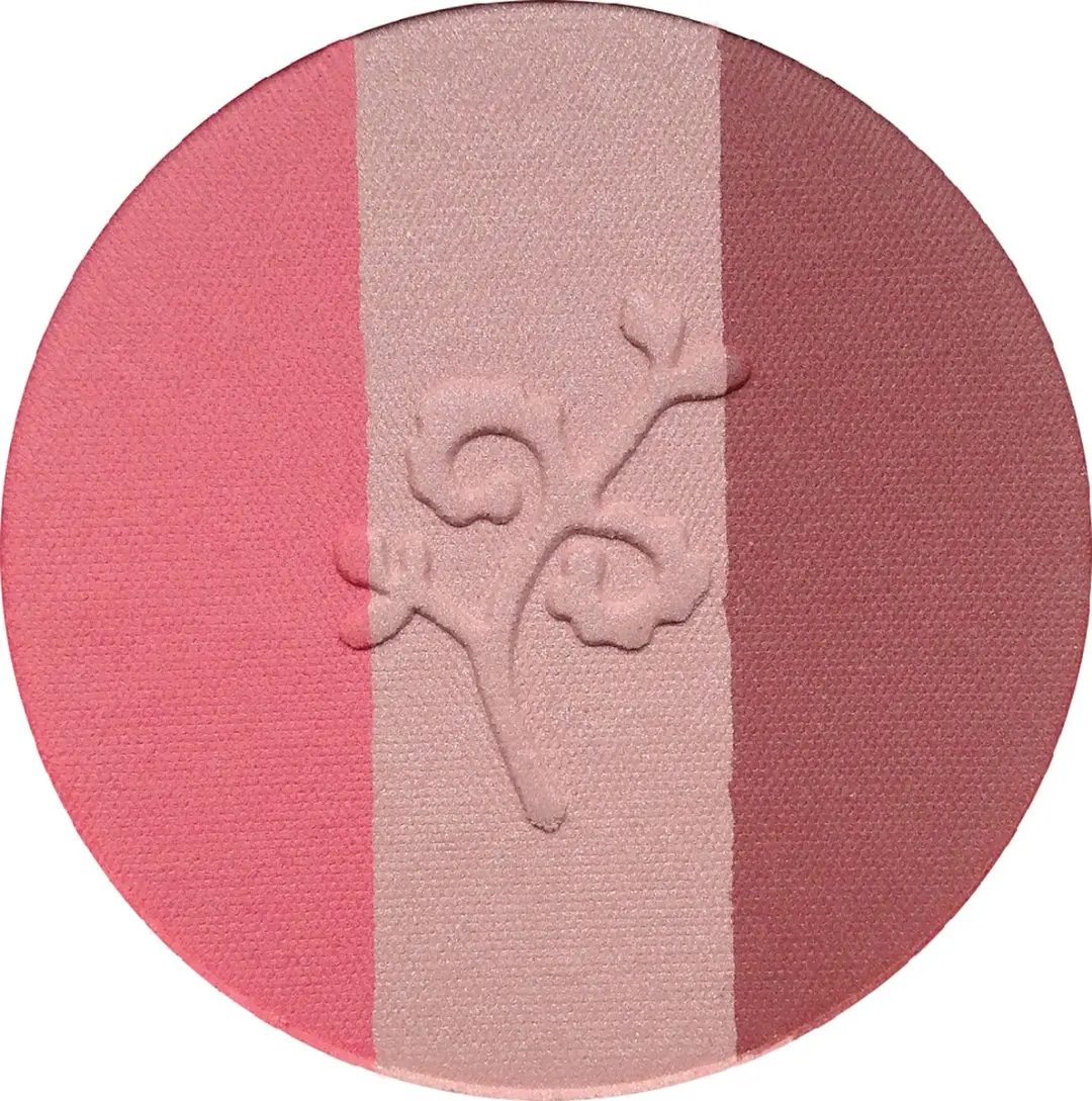 Benecos Blush Compact Fall in Love - 5g - Roze