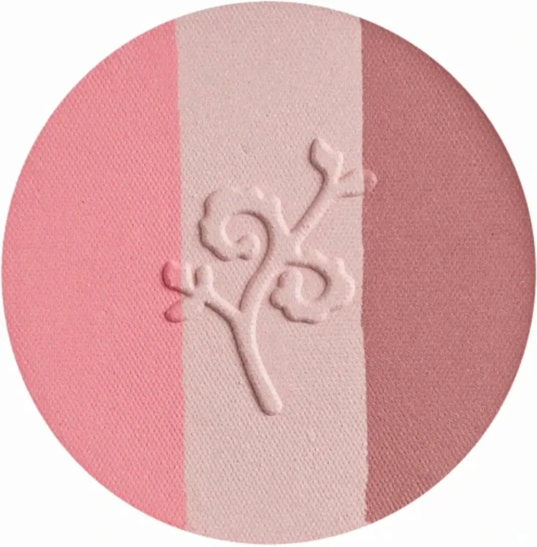 Benecos Blush Compact Fall in Love - 5g - Roze