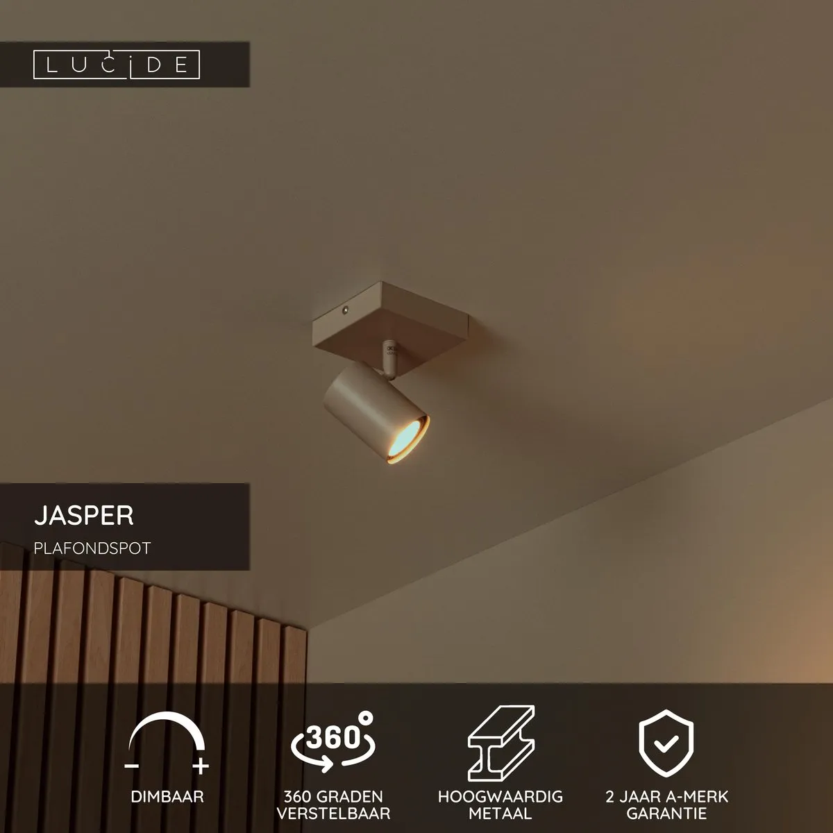 Lucide Jasper Plafondspot GU10 - Taupe