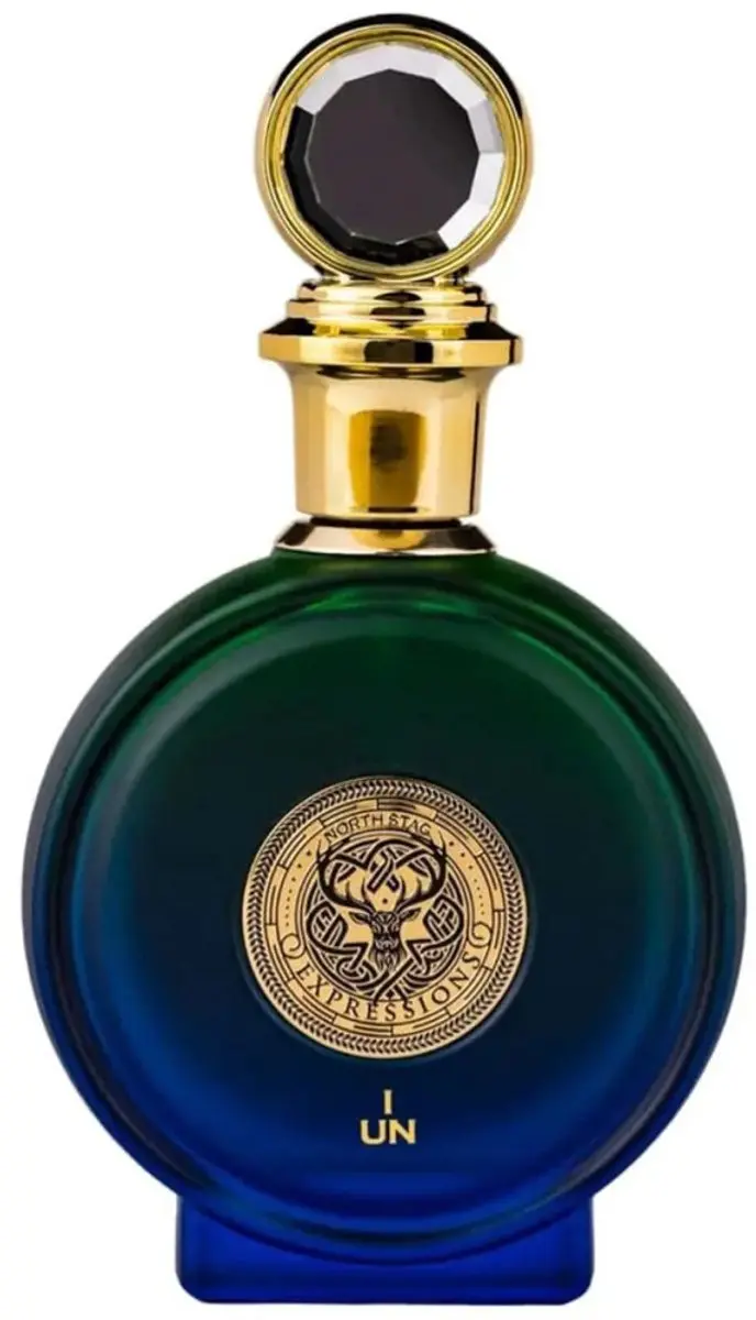 Paris Corner North Stag Expressions Parfumextract 100ml